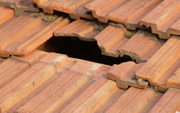 roof repair Hampsfield, Cumbria
