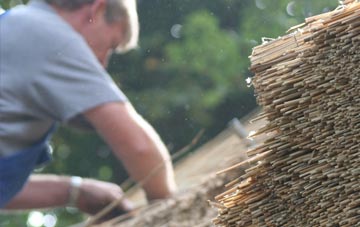 professional Hampsfield thatchers